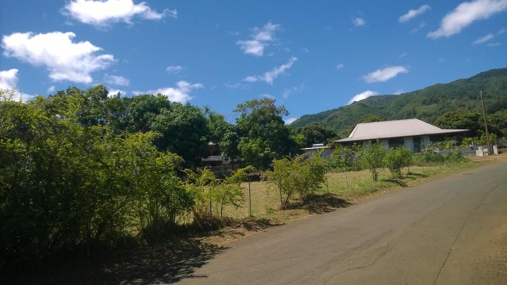 Les Bungalows Du Mont-Auban Sainte-Clotilde Buitenkant foto