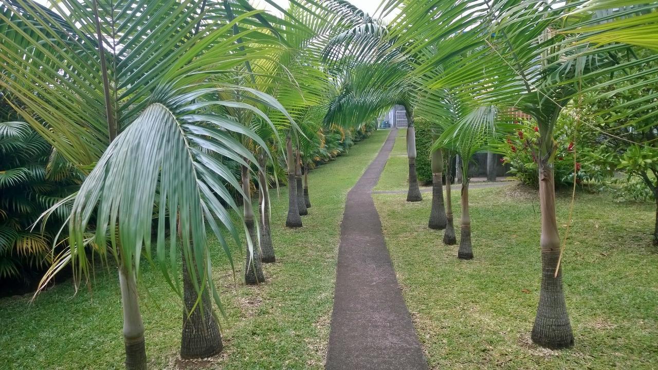 Les Bungalows Du Mont-Auban Sainte-Clotilde Buitenkant foto